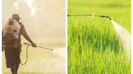 Date îngrijorătoare privind exporturile de pesticide din Europa. Avertismentul ONG-urilor