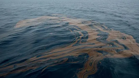 Scurgere de petrol surprinsă în Marea Neagră: pete în apă și animale arse chimic sau moarte