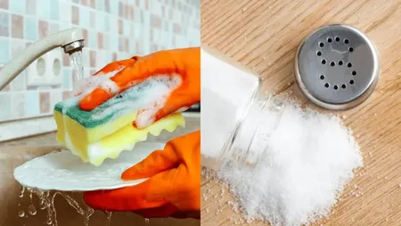 Ce se întâmplă dacă pui sare pe buretele de vase. Rezultatul neașteptat care te scapă de problemele din bucătărie