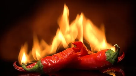 Cei mai iuţi ardei din lume, creaţi în România, la Buzău. Sunt de 400 de ori mai puternici decât cei obişnuiţi