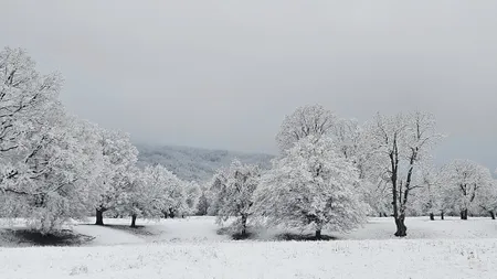 Prognoza oficială pentru minivacanţa de 1 Decembrie. ANM a anunţat cum va fi vremea până la Crăciun 2025