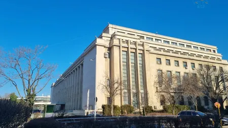 Ședință de Guvern: modificarea ordonanței pentru intervenția în cazul atacurilor de urși și alocarea de fonduri din rezerva bugetară pentru 40 de consilii județene