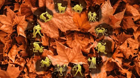 Horoscop 17 noiembrie 2025. Zodiile care au parte de o zi benefică pe toate planurile