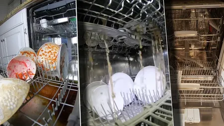 Ce se întâmplă, de fapt, în interiorul mașinii de spălat vase. Videoclipul realizat de un internaut a devenit viral