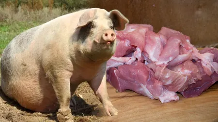 Cât a ajuns să coste 1 kilogram de carne de porc, înainte de Crăciun. Românii se pregătesc din timp pentru sărbătorile de iarnă