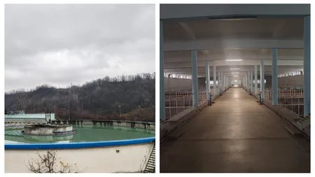 Criza apei potabile din Prahova. ESZ anunță că poate relua livrările, cu o condiție