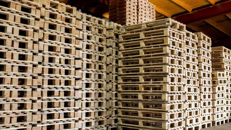 Cum îți crești profitabilitatea logistică cu sisteme automate de măsurare a paleților