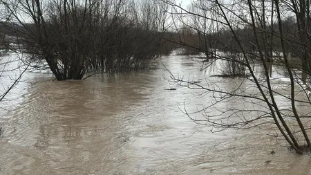 Alertă de inundații în Dolj. Dunărea amenință case, terenuri și ferme