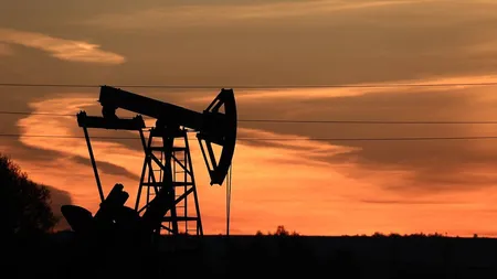 Guvernul rus va discuta oprirea exporturilor de gaze spre Europa