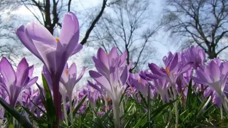 Prognoza ANM pe patru săptămâni. Temperaturi peste normal în martie și vreme liniștită de Paștele ortodox