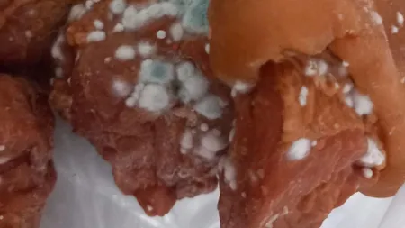 Mucegai, carne stricată și gândaci în bucătării. Controalele ANPC au închis 40 de firme și au adus amenzi de aproape 6 milioane de lei