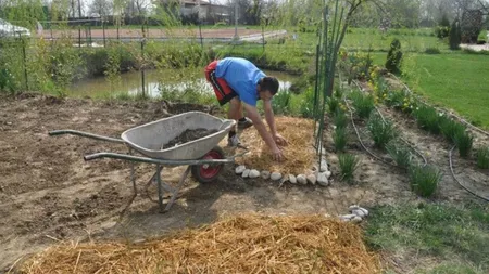 Grădinăritul în România în 2026. Bugetul pentru o grădină de 300 mp depășește 2.500 de lei