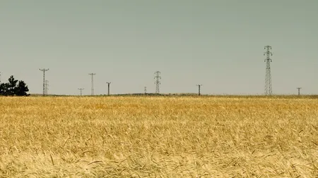UE aprobă peste 56 milioane de euro ajutor de urgență pentru fermierii din cinci state membre, inclusiv România