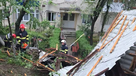 Furtuna a generat aproape 2.000 de solicitări în București și Ilfov. ISUBIF a gestionat circa 1.000 de intervenții, alte 950 sunt în așteptare