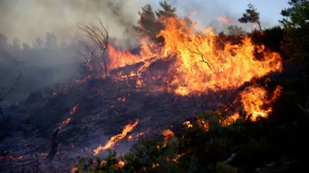 Grecia, în alertă portocalie: Peste 60 de incendii au izbucnit în ultimele 24 de ore în toată țara