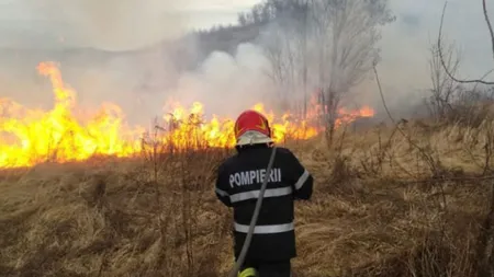 Val de incendii în Dolj. Peste 40 de hectare de vegetație, miriște și culturi agricole, afectate în doar două zile