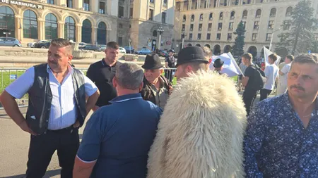 Protestul oierilor s-a mutat la Guvern după incidentele de la ANSVSA