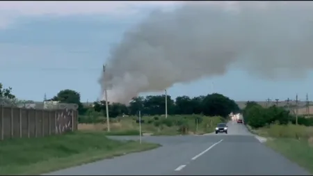 Incendiul a distrus stația de sortare a deșeurilor din Leț. Activitatea continuă, iar cei 40 de angajați își păstrează locurile de muncă
