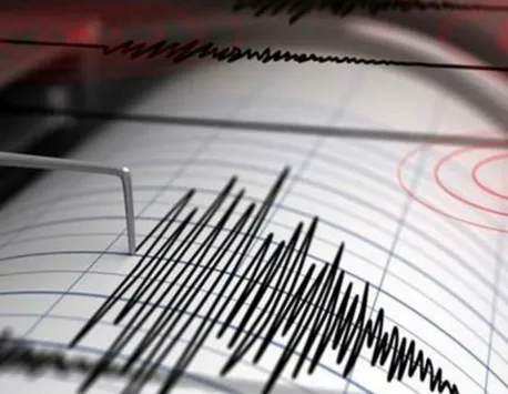 Încă un cutremur a avut loc în România. Cât de puternic a fost