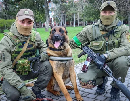 Război în Ucraina: Un câine a trecut din tabăra rusă la ucraineni, poveste fabuloasă VIDEO