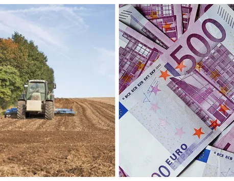 Subvenţii 2022. Veşti bune pentru agricultorii români: pot primi până la 120.000 de euro de persoană
