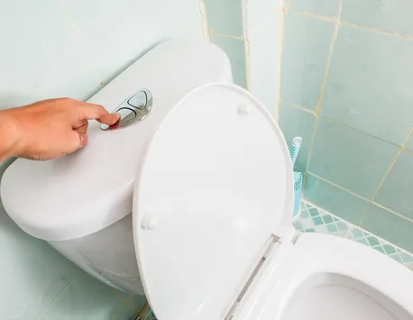 De ce nu este bine să tragi apa la toaletă cu capacul ridicat. Gestul pe care mulţi dintre noi îl fac este extrem de dăunător
