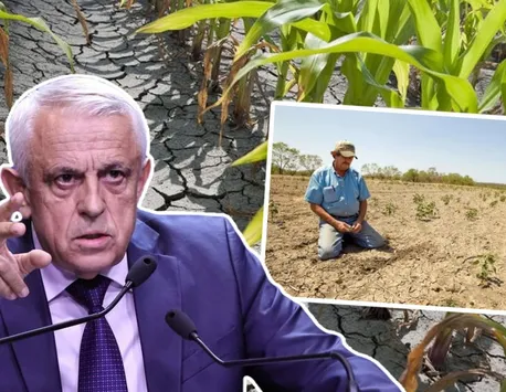 Petre Daea: Am solicitat revizuirea formulei de calcul. Suma alocată României pentru sprijinirea fermierilor este derizorie