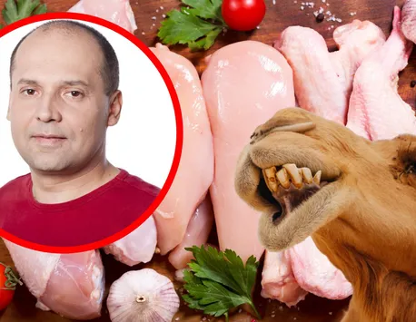 Radu Banciu, supărat pe obiceiurile alimentare ale românilor: „Ce-i carnea de pui? Să mâncăm și noi urs, cocoaşă de cămilă, panteră, rinocer, crocodil”