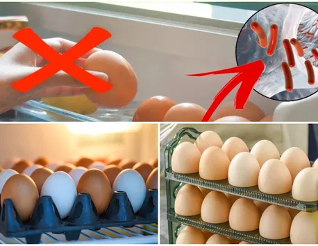 De ce nu este bine să păstrezi ouăle în uşa frigiderului. Care este locul ideal în care pot fi depozitate