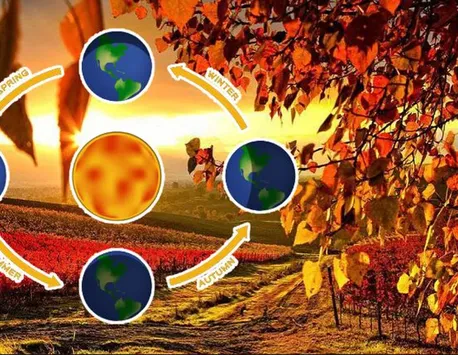 Horoscop octombrie 2023. Schimbări majore pentru majoritatea zodiilor. Relațiile cu persoanele apropiate se reconfigurează: unii oameni pe care-i credeați apropiați dispar din viața voastră