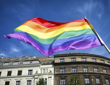 Reușită pentru comunitatea LGBT. CEDO a respins cererea României de a nu recunoaște cuplurile de același sex