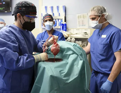 Al doilea transplant istoric de inimă de porc la un pacient viu a fost realizat în SUA