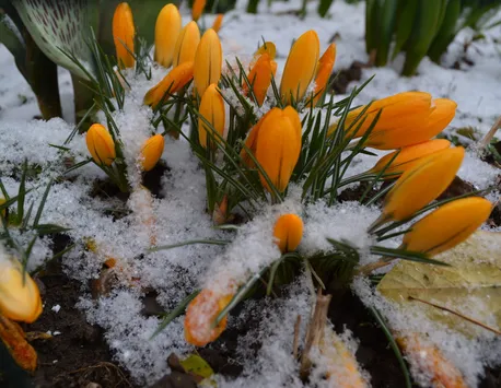 Revin ninsorile în România din martie. Prognoza Accuweather modificată
