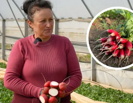 Ucraina plătește dublu pentru ridichile din România, în timp ce românii consumă legume importate: „Ne dau un preț foarte bun”