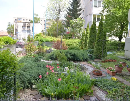 Pensionară din Brașov, amendată pentru florile plantate în curtea blocului. Cați bani trebuie să dea bătrâna: „Nu-mi mai iau pâine și o plătesc”
