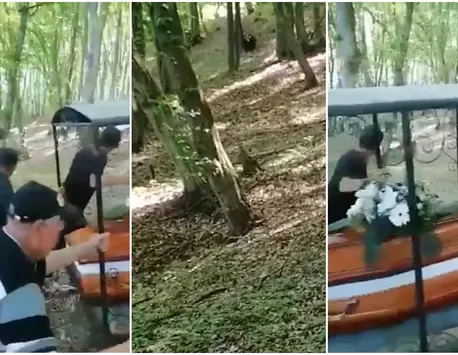 Situație șocantă în Mureș! Un urs a fugărit un cortegiu funerar VIDEO