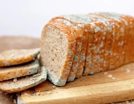 Ce se întâmplă în organismul tău dacă mănânci pâine cu mucegai. Nici nu te-ai fi gândit la așa ceva