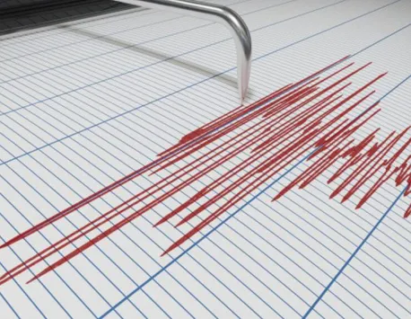 Cutremur în România. Unde s-a resimțit seismul și ce magnitudine a avut