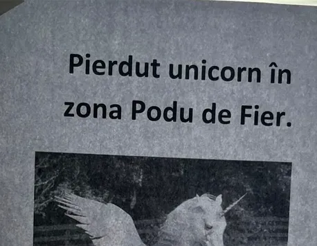 Anunț inedit pe străzile din Iași: „Pierdut unicorn în zona Podu de fier”. Ce trebuie să facă oamenii dacă îl văd