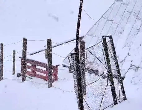 Peisaj de iarnă în Bucegi în luna mai. A nins puternic şi s-a depus din nou zăpadă VIDEO