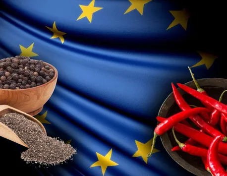 Un pesticid cancerigen a fost depistat în condimentele indiene vândute pe piețele din Uniunea Europeană