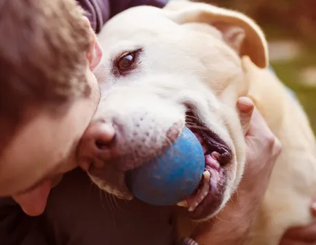 7 zodii care își vor iubi întotdeauna câinele mai mult decât pe tine 
