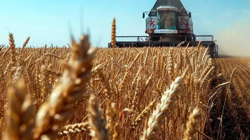 Rezervele mondiale de grâu sunt pe sfârşite, criza alimentară dă târcoale. Au mai rămas stocuri doar pentru 10 săptămâni avertizează experţii ONU