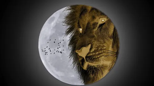 Horoscop WEEKEND 4-5 februarie 2023. Ce ne aduce Luna plina in stralucitorul Leu