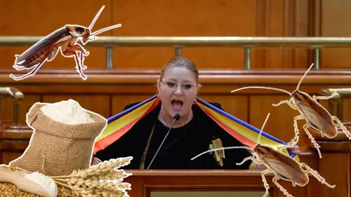 Diana Șoșoacă a explodat! Țipete și jigniri în Parlament: „Gândacule, fă-te făină!”
