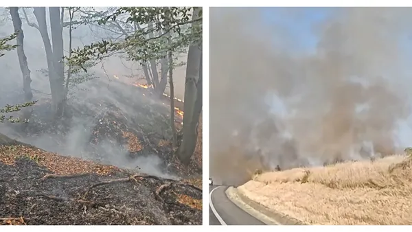 Ard munții în vestul țării. Flăcările au cuprins peste 250 de hectare, sute de oameni se luptă cu focul în apropiere de Băile Herculane