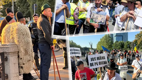 Prefectul Capitalei, după protestele violente din Piața Victoriei: O asemenea organizare nu o fac oierii veniţi să protesteze paşnic!