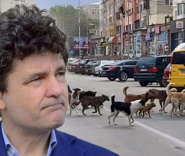 Nicuşor Dan, despre mitingul profesorilor: „Eu am autorizat toate protestele care au fost solicitate, inclusiv cele împotriva mea”. Ce spune de un nou mandat