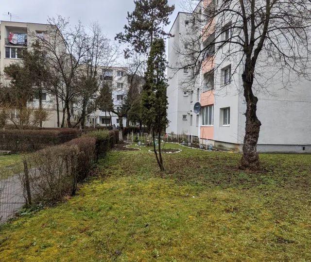 Amenzi uriașe pentru cei care plantează flori sau copaci pe spațiile verzi din jurul blocurilor. Toți românii trebuie să știe!