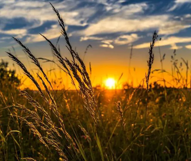 Prognoza meteo 31 mai. Temperaturi maxime de 30 de grade la final de mai, dar și furtuni